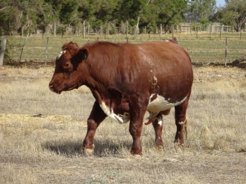 Lot 2/667 WHARPARILLA ROAD, Echuca West VIC 3564