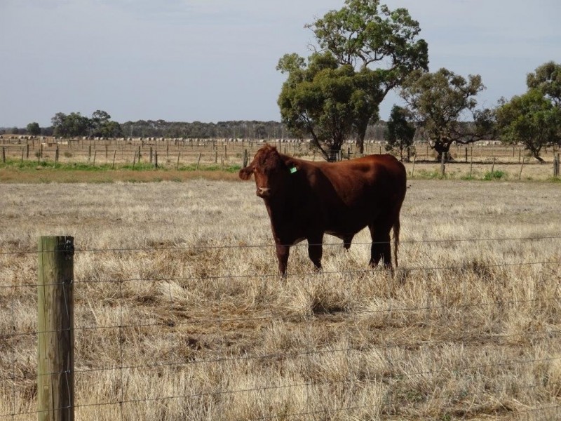 Lot 2/667 WHARPARILLA ROAD, Echuca West VIC 3564