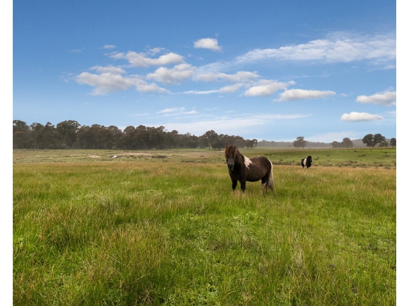 204 Swanpool Road, Swanpool VIC 3673