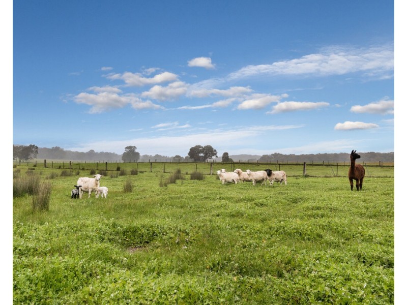 204 Swanpool Road, Swanpool VIC 3673