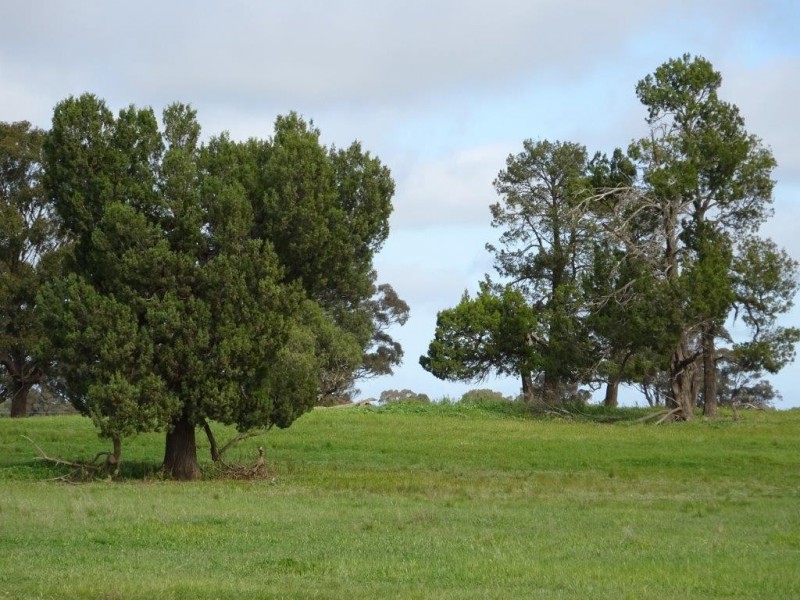 … 24 LANE, Moama NSW 2731