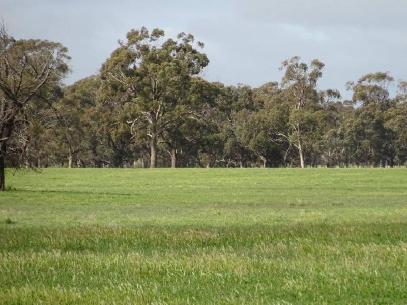 … 24 LANE, Moama NSW 2731