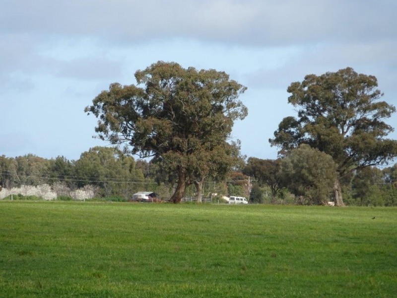 … 24 LANE, Moama NSW 2731