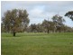 … 24 LANE, Moama NSW 2731