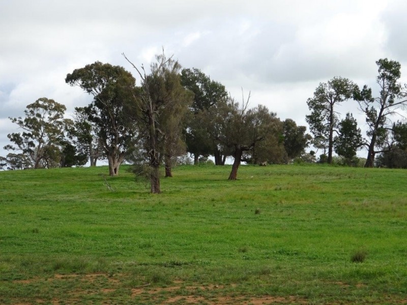 … 24 LANE, Moama NSW 2731