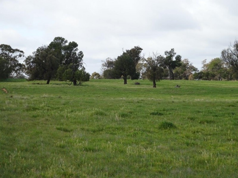 … 24 LANE, Moama NSW 2731