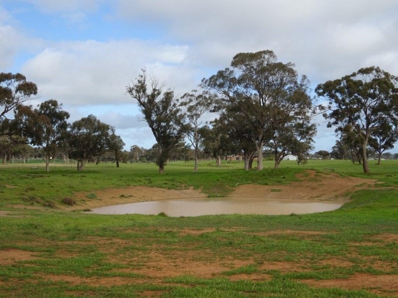 … 24 LANE, Moama NSW 2731