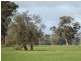 … 24 LANE, Moama NSW 2731