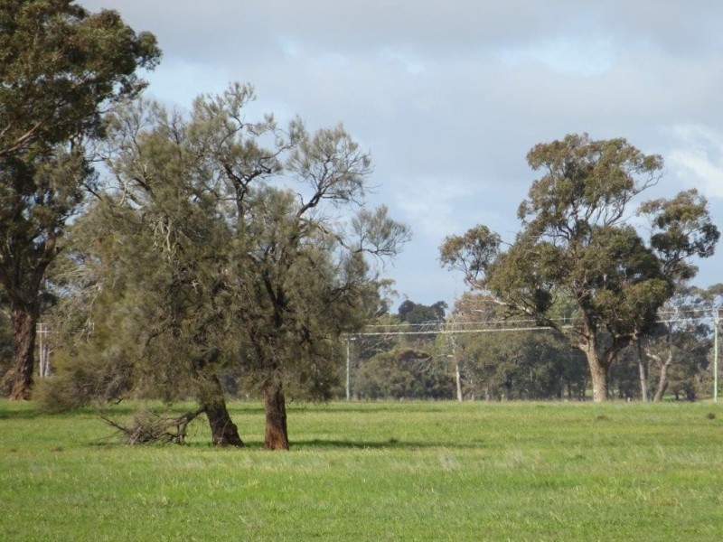 … 24 LANE, Moama NSW 2731