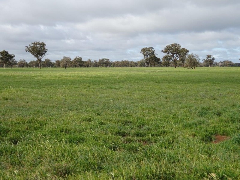 … 24 LANE, Moama NSW 2731