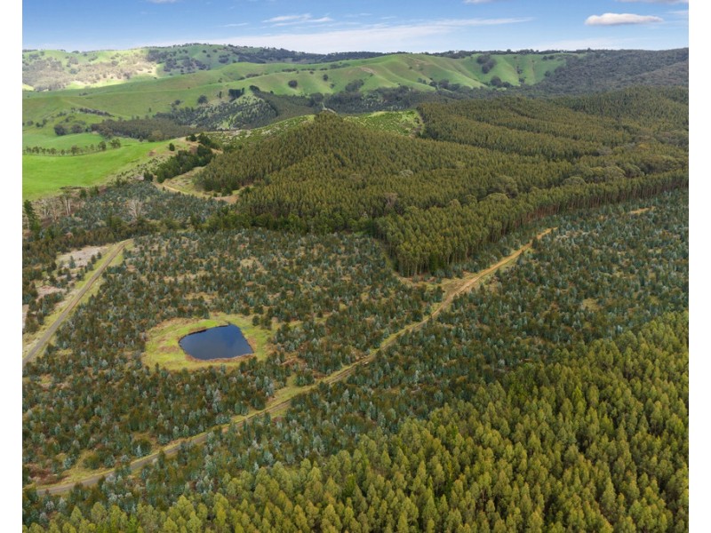 910 King Parrot Creek Road, Strath Creek VIC 3658