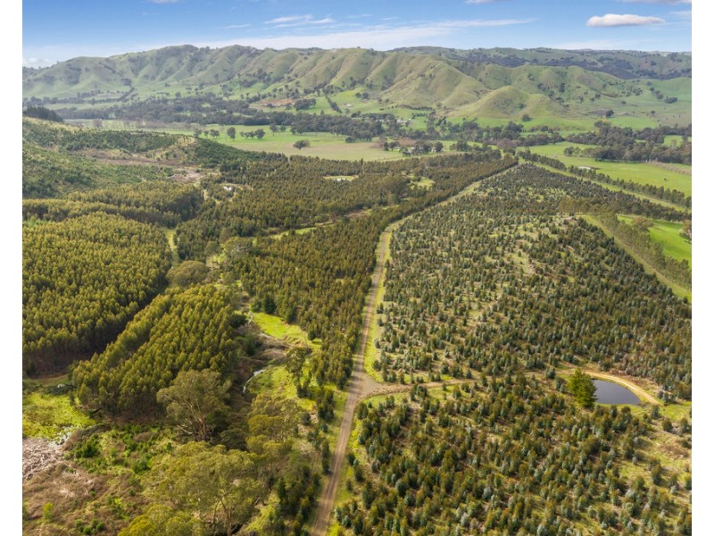 910 King Parrot Creek Road, Strath Creek VIC 3658