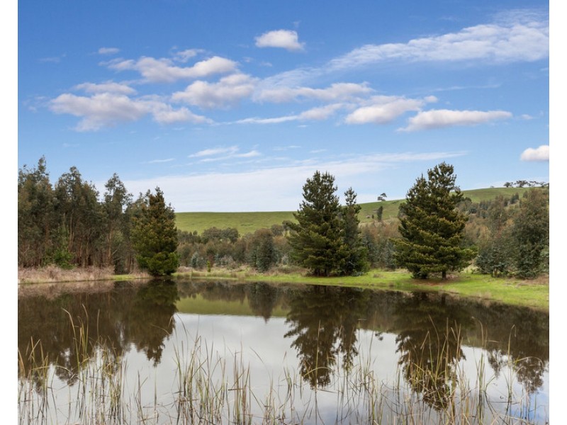 910 King Parrot Creek Road, Strath Creek VIC 3658