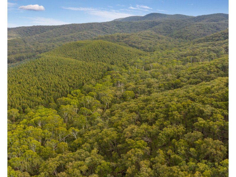 910 King Parrot Creek Road, Strath Creek VIC 3658