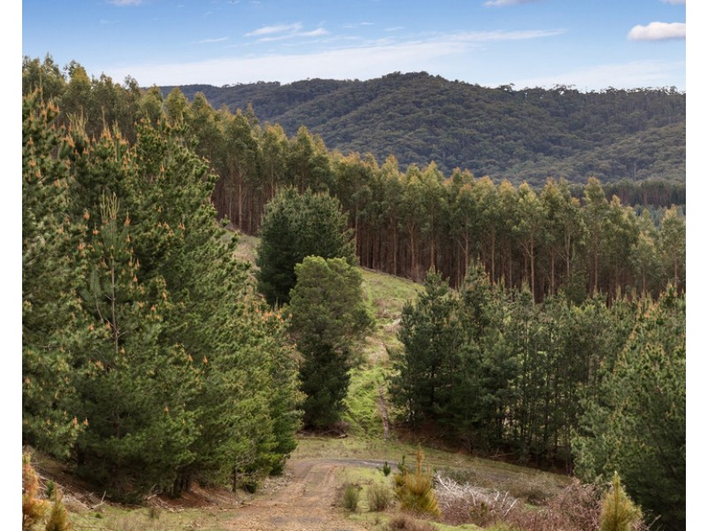 910 King Parrot Creek Road, Strath Creek VIC 3658