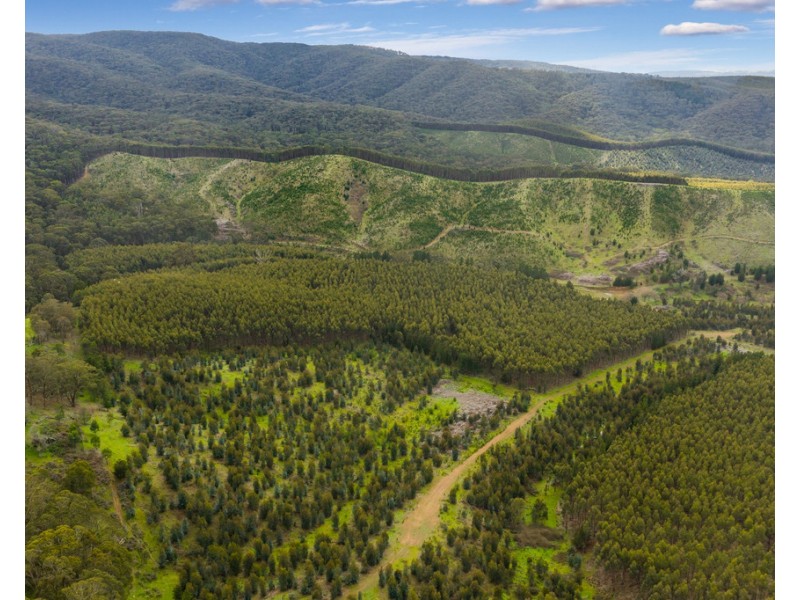 910 King Parrot Creek Road, Strath Creek VIC 3658