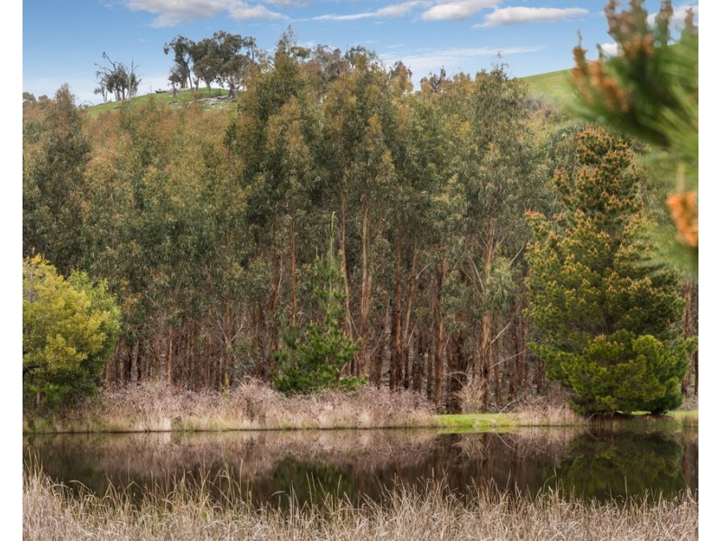 910 King Parrot Creek Road, Strath Creek VIC 3658