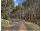 910 King Parrot Creek Road, Strath Creek VIC 3658