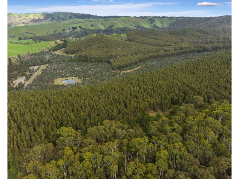 910 King Parrot Creek Road, Strath Creek VIC 3658