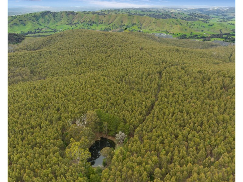 910 King Parrot Creek Road, Strath Creek VIC 3658