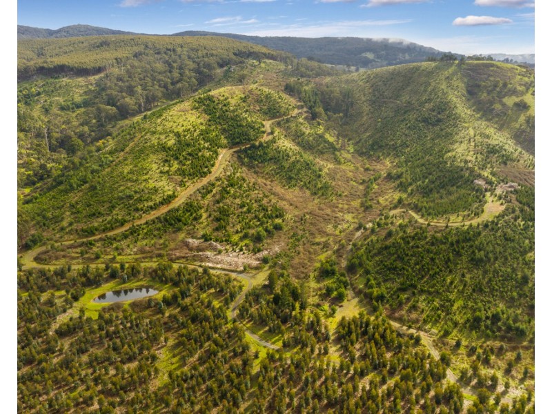 910 King Parrot Creek Road, Strath Creek VIC 3658