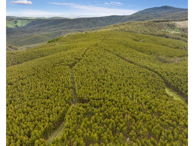 910 King Parrot Creek Road, Strath Creek VIC 3658