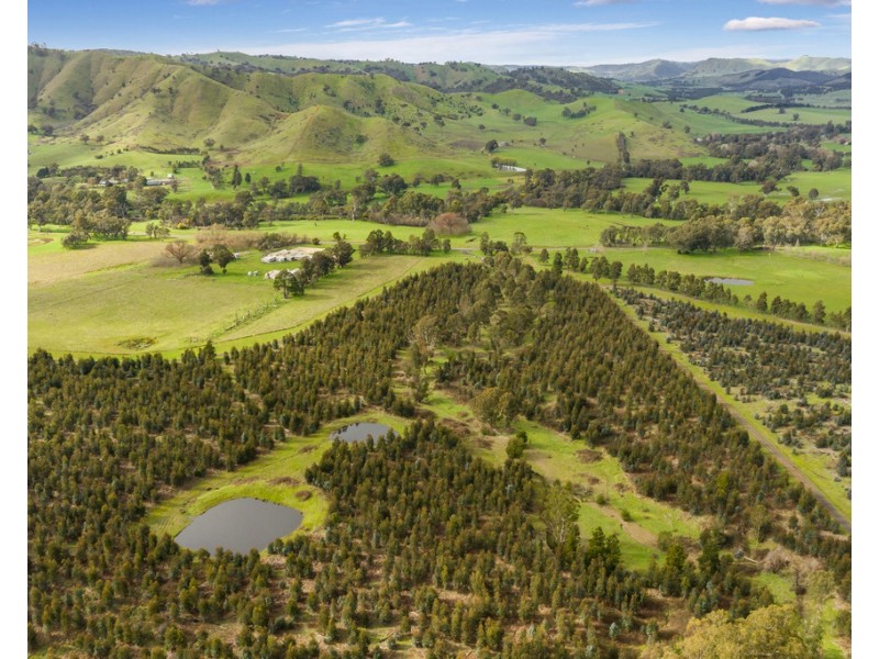 910 King Parrot Creek Road, Strath Creek VIC 3658