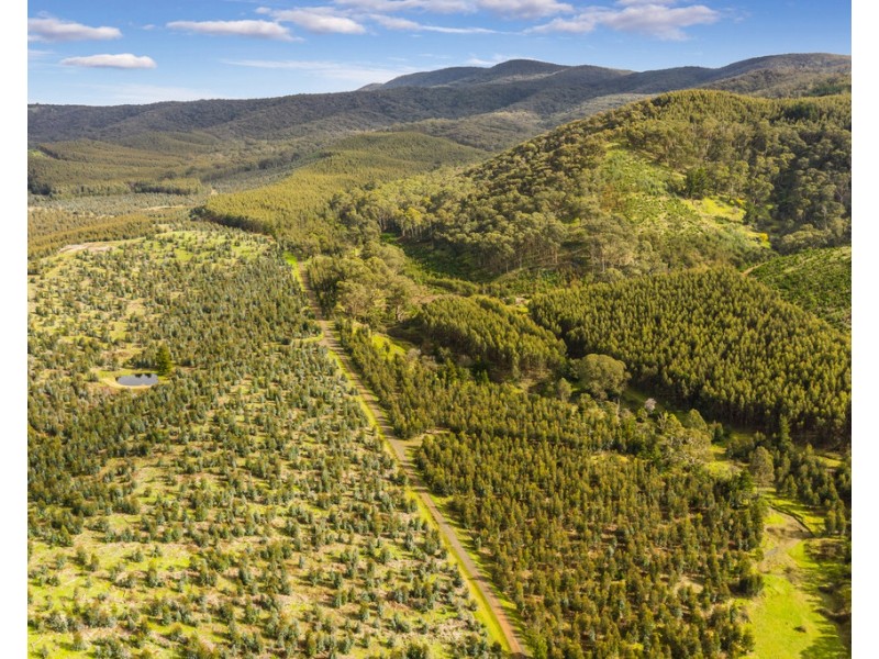 910 King Parrot Creek Road, Strath Creek VIC 3658