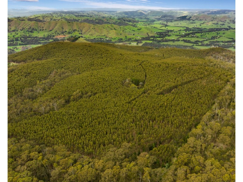 910 King Parrot Creek Road, Strath Creek VIC 3658