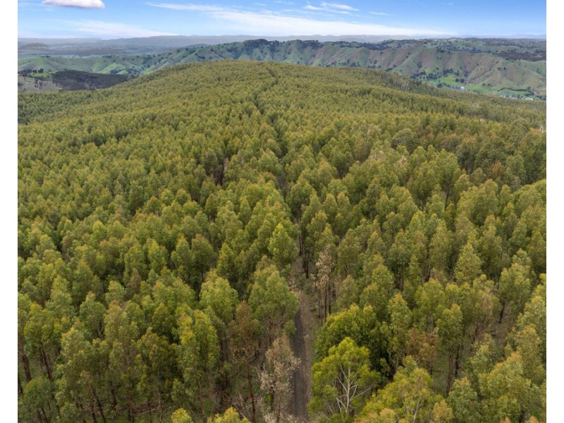 910 King Parrot Creek Road, Strath Creek VIC 3658