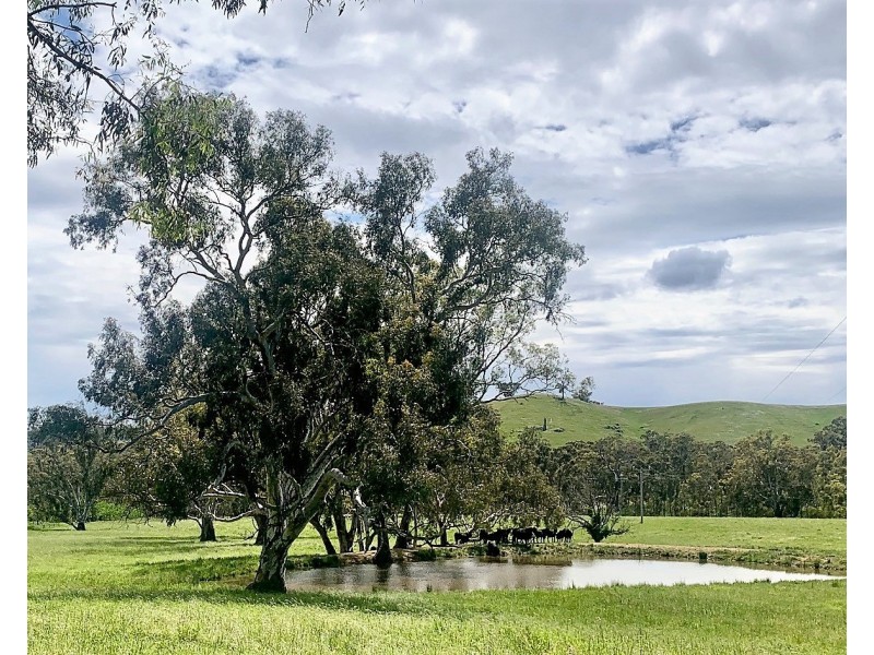 5621 Maroondah Hwy, Alexandra VIC 3714