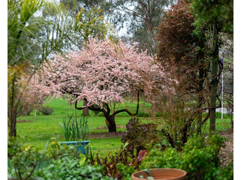 5621 Maroondah Hwy, Alexandra VIC 3714