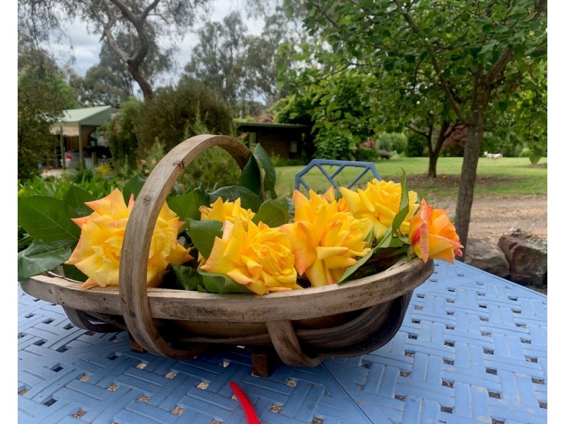 5621 Maroondah Hwy, Alexandra VIC 3714