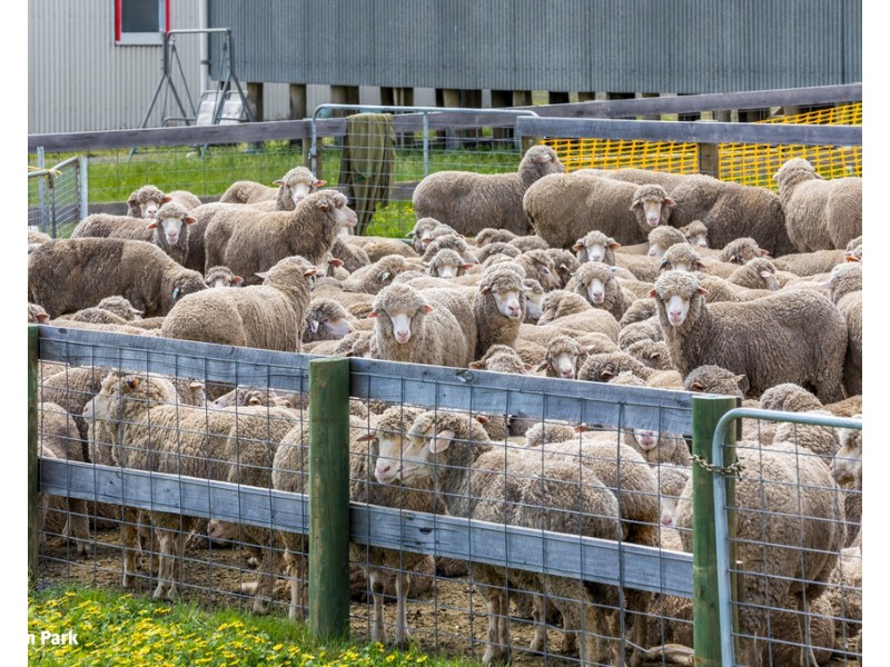 83 Scrubby Camp Lane, Baynton East VIC 3444