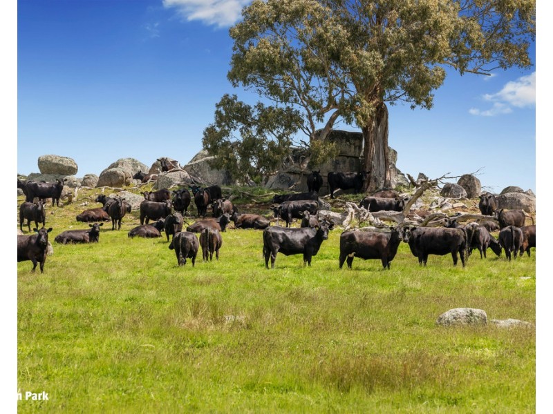 83 Scrubby Camp Lane, Baynton East VIC 3444