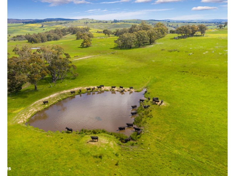 83 Scrubby Camp Lane, Baynton East VIC 3444