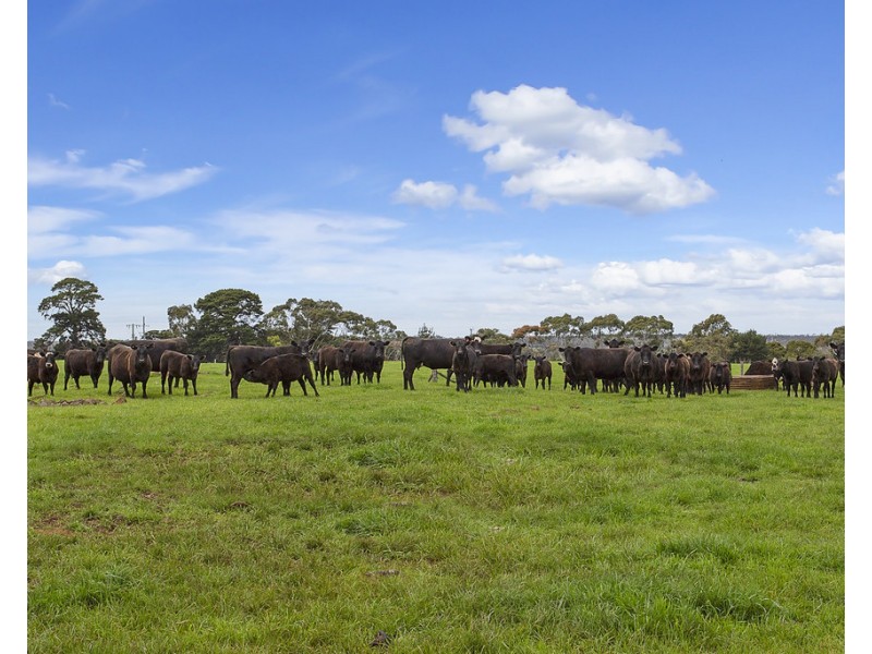 2019 Ellerslie-Panmure Road, Panmure VIC 3265