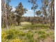 315 South Mountain Road, Heathcote Junction VIC 3758