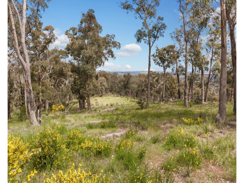 315 South Mountain Road, Heathcote Junction VIC 3758