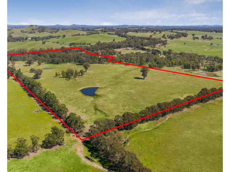 8774 Goulburn Valley Highway, Whiteheads Creek VIC 3660