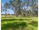 8774 Goulburn Valley Highway, Whiteheads Creek VIC 3660