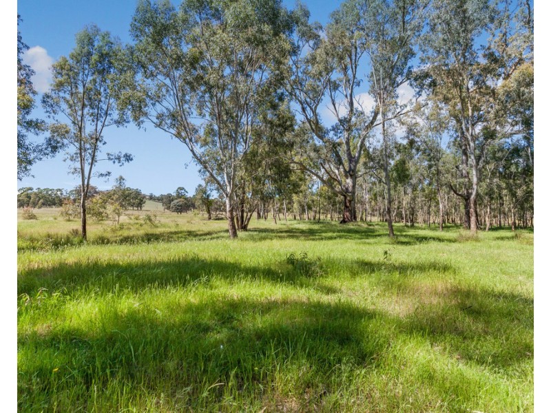 8774 Goulburn Valley Highway, Whiteheads Creek VIC 3660