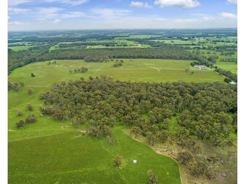 247B THORBURNS ROAD, Laang VIC 3265