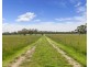 247B THORBURNS ROAD, Laang VIC 3265