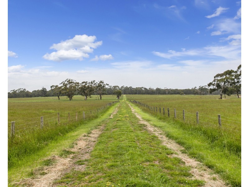 247B THORBURNS ROAD, Laang VIC 3265