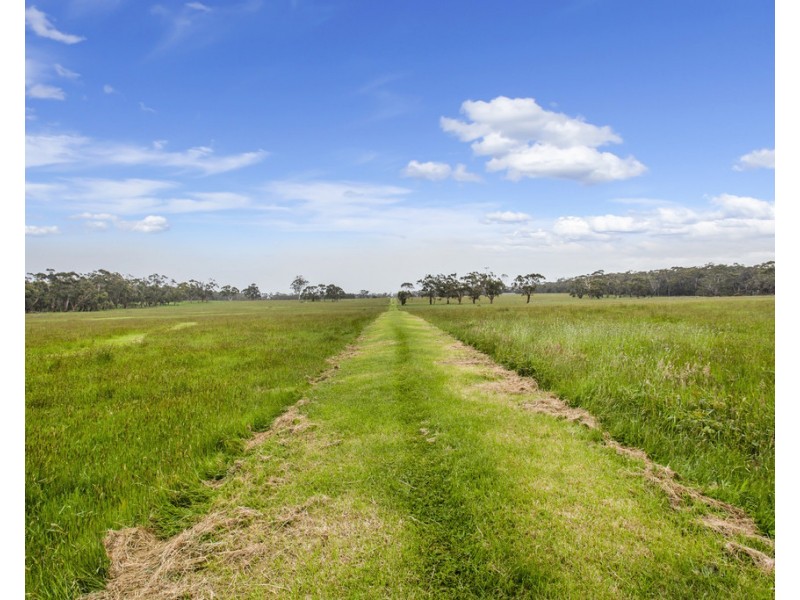 247B THORBURNS ROAD, Laang VIC 3265