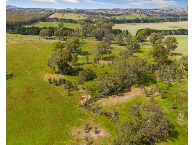 2625 Seymour-Tooborac Road, Tooborac VIC 3522
