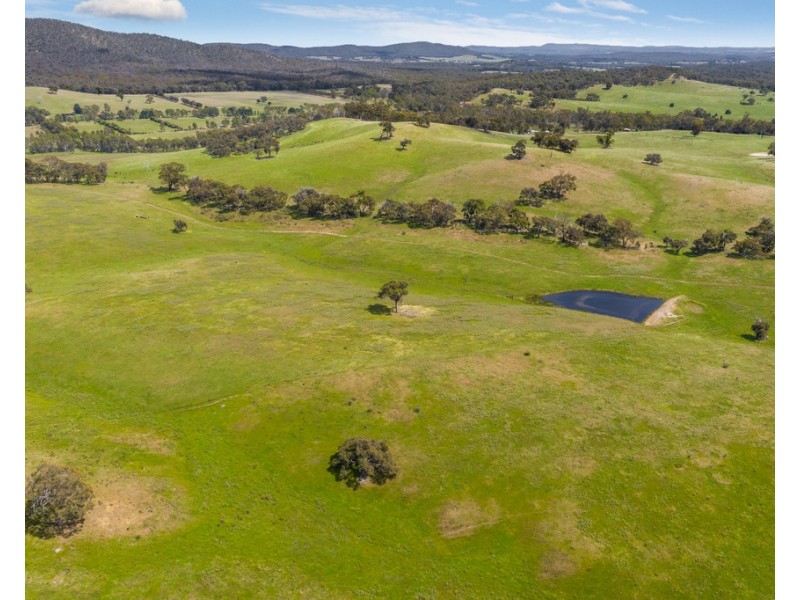 2625 Seymour-Tooborac Road, Tooborac VIC 3522