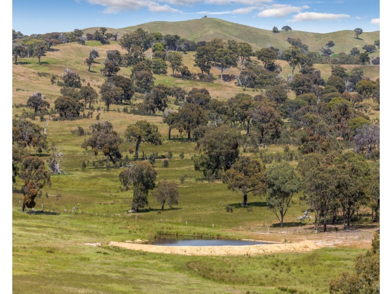 2625 Seymour-Tooborac Road, Tooborac VIC 3522