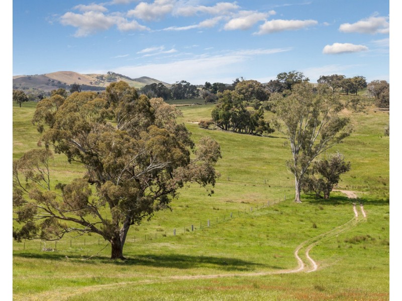 2625 Seymour-Tooborac Road, Tooborac VIC 3522